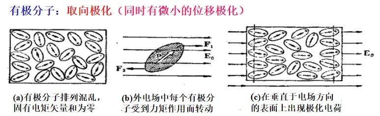 取向极化.jpg