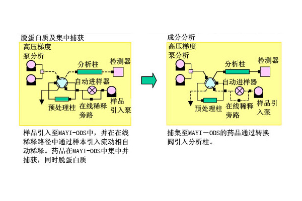 分析柱.jpg