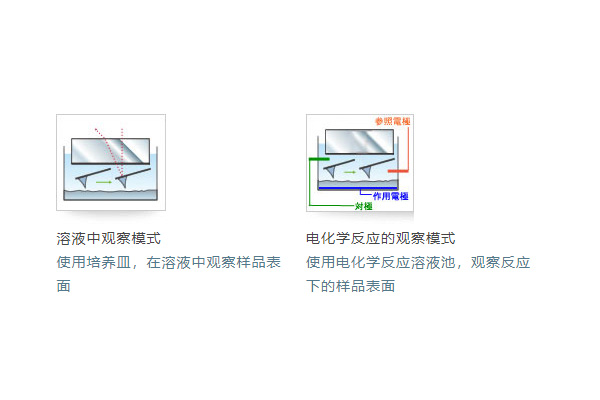 选配c.jpg