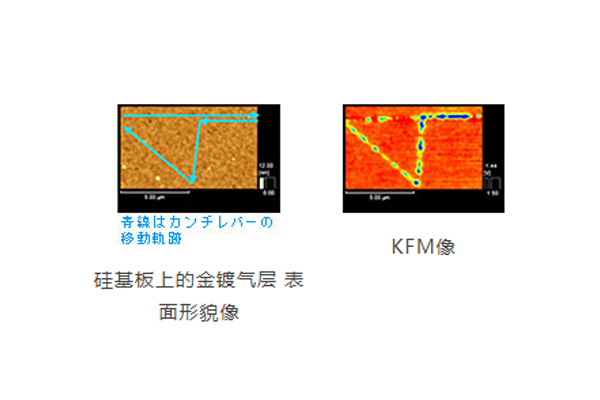 KFM像.jpg