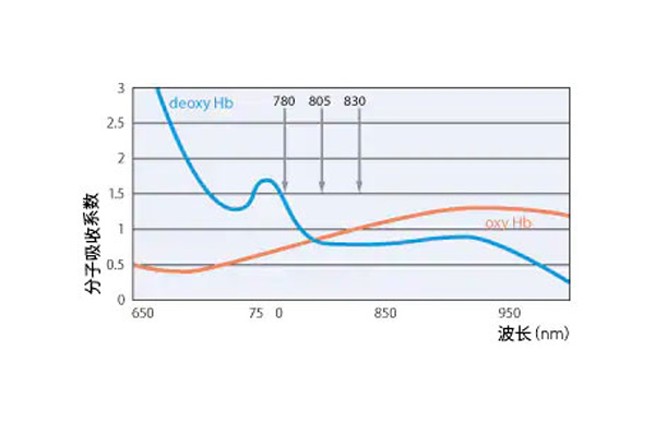 波长.jpg