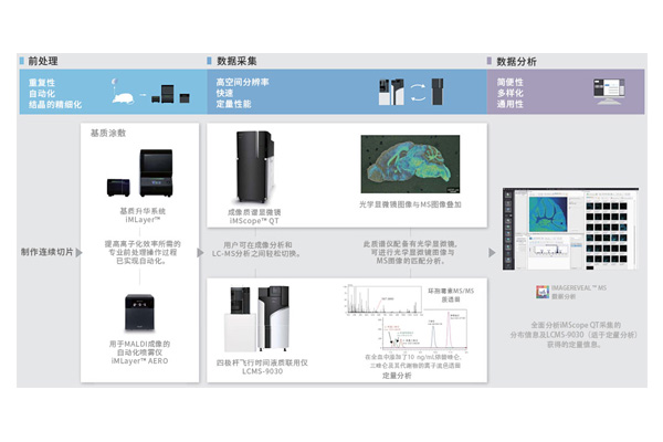 质谱成像.jpg