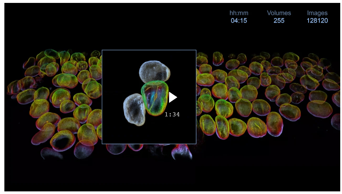 Lattice Lightsheet 7-12.png