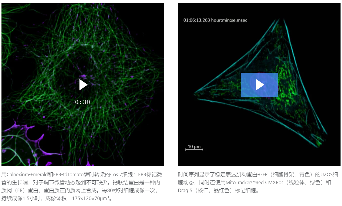 Lattice Lightsheet 7-17.png