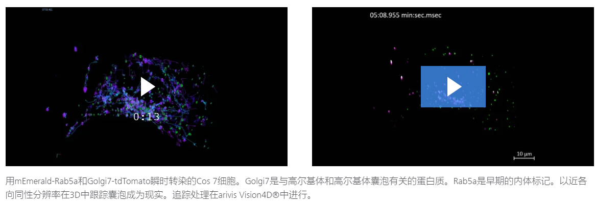 Lattice Lightsheet 7-15.png